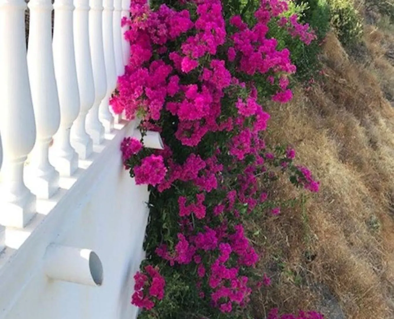 Casa Palmeras In Sayalonga Mit Gepflegtem Garten Holiday home